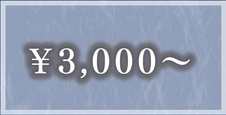 ￥3,000〜